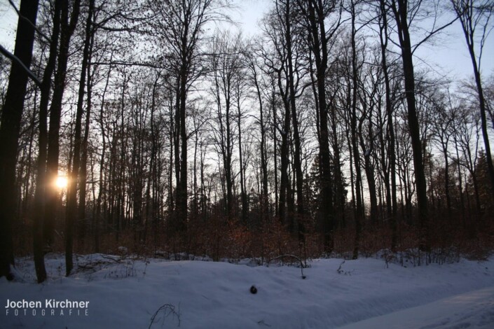 Winter in Geiselbach - Canon EOS 350D - Geiselbach, Landschaft, Winter