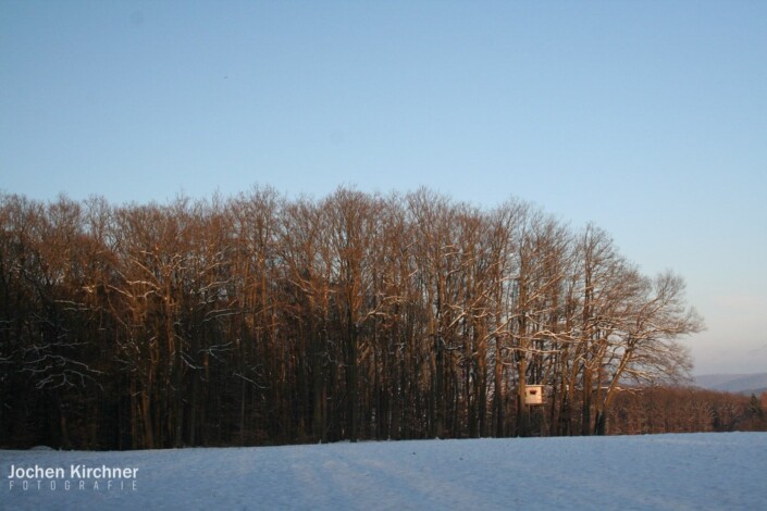 Winter in Geiselbach - Canon EOS 350D - Geiselbach, Landschaft, Winter