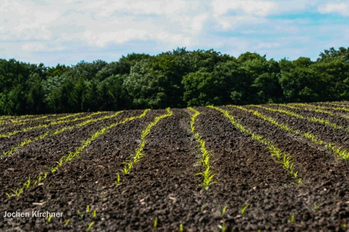 Frisch gesät - Canon EOS 350D - Geiselbach, Landschaft