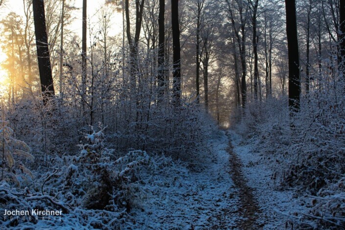 Wintertraum - Canon EOS 700D - Geiselbach, Landschaft, Schnee, Winter