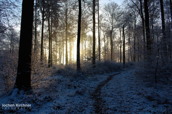 Wintertraum - Canon EOS 700D - Geiselbach, Landschaft, Schnee, Winter