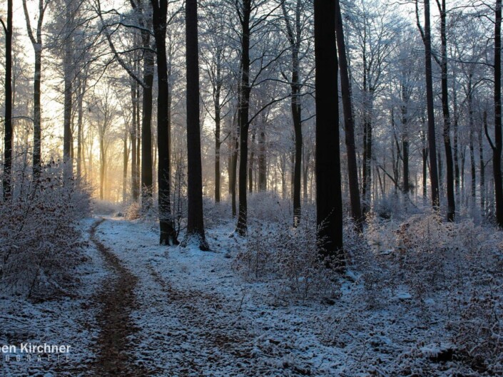 Naturfotografie - Landschaftsaufnahmen